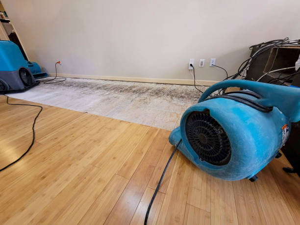 Professional Flood Damage Cleanup technician working in Sugar City, CO